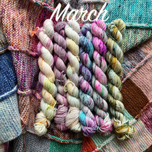 November Mini Skein Club: Scrappy Blanket DK Mini Skein Bundles