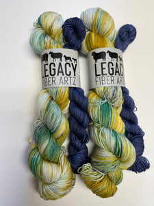 "I Think You're Brave" July Schitt's Creek Sock Club (Copy)