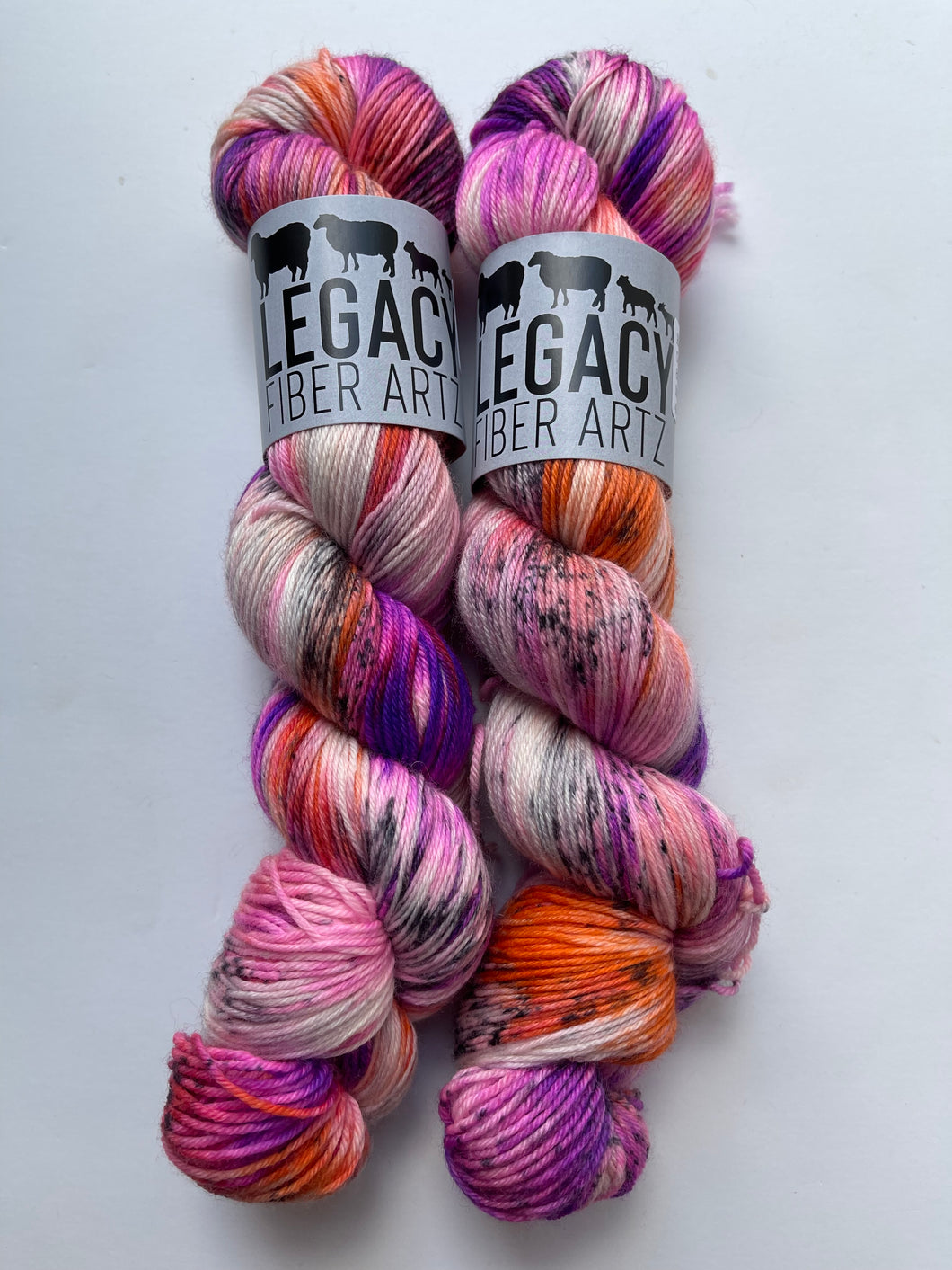 Hocus Pocus Cozy Toes