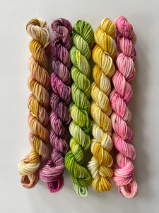 Four Seasons Mini Bundles: Spring