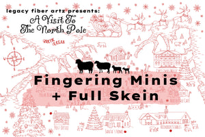 2023 Advent : A Visit To The North Pole