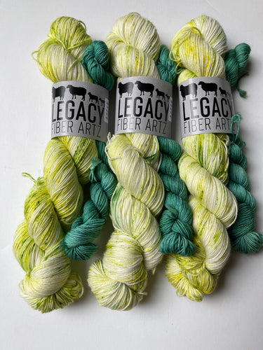 Sally Owens Sock Kit