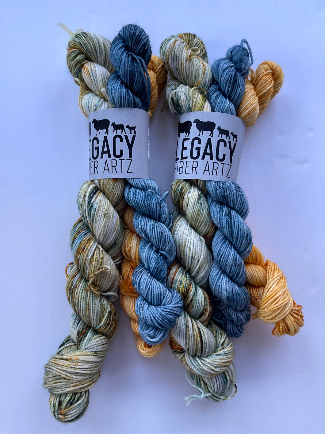 Shipwreck Micro Sock Set